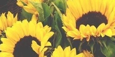 jessicablank_'s profile banner image