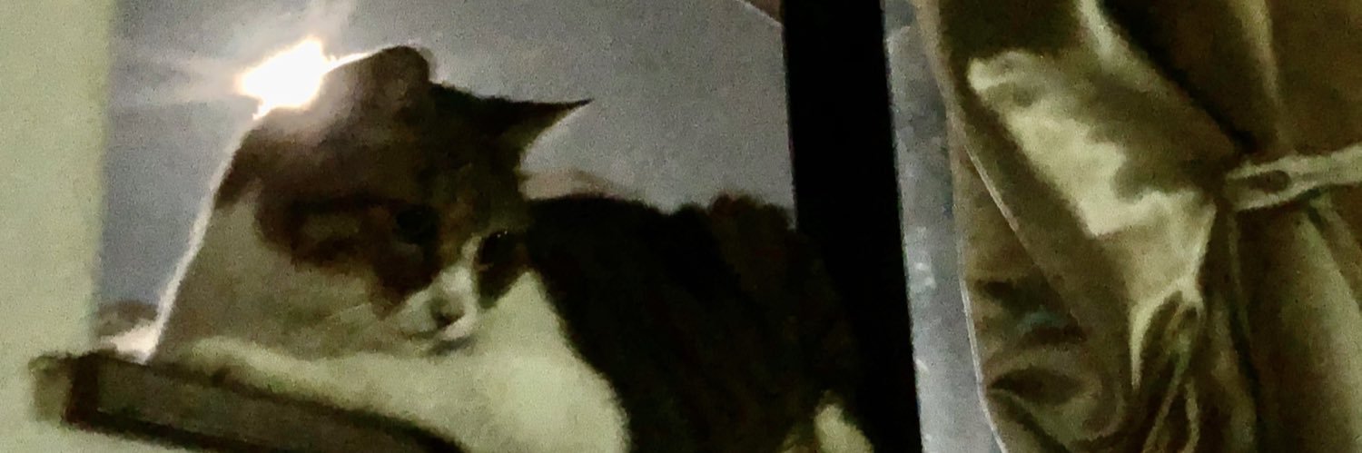 MegopeningP's profile banner image