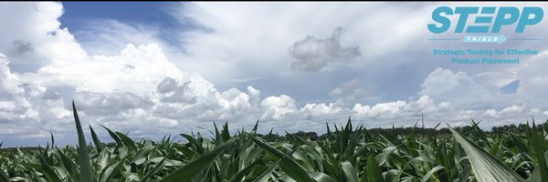 mattrundle4 Profile Banner