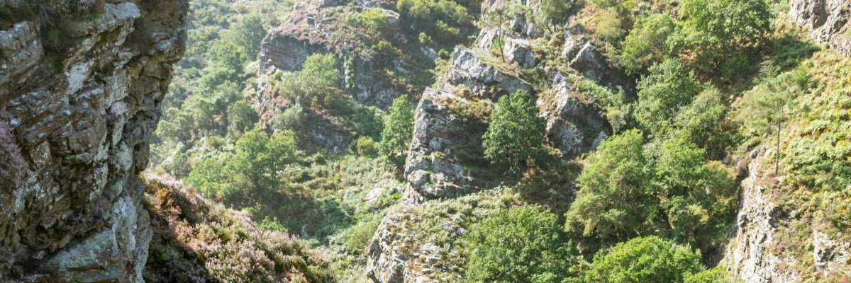 marcs_gf72's profile banner image