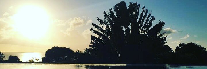 adamsn's profile banner image