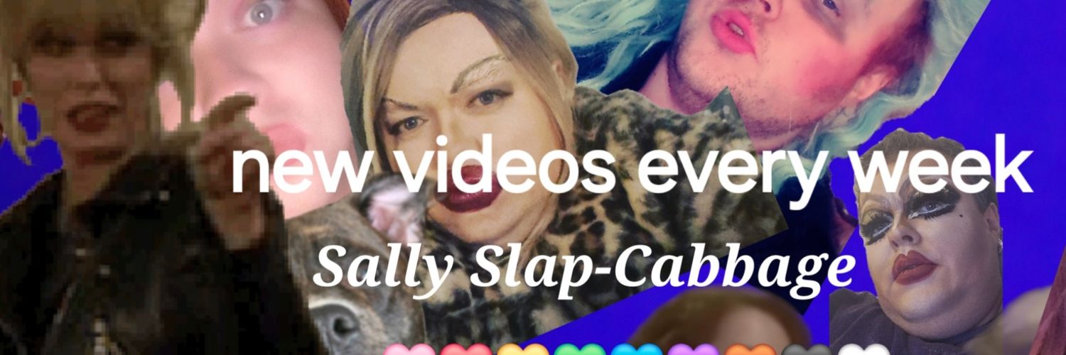 SallSlapCabbag's profile banner image