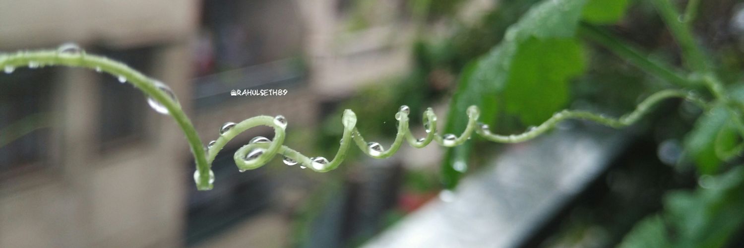 TweetsBySeth's profile banner image