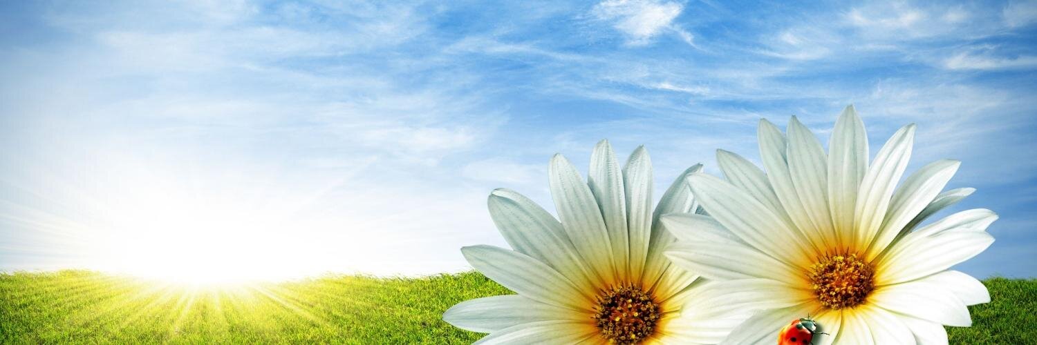 saraswat's profile banner image