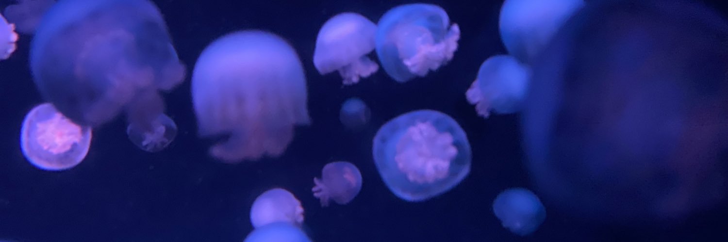 mazel25u's profile banner image