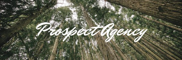 prospect_agency Profile Banner