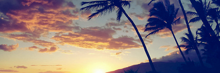 ErisRol's profile banner image