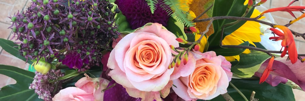 chlo_bb's profile banner image