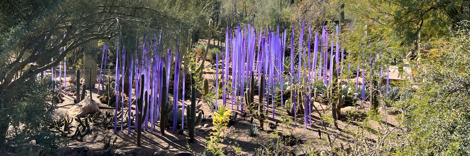 Carrie/Caroline T. Schroeder banner