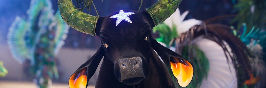 sergiofelipebr's profile banner image