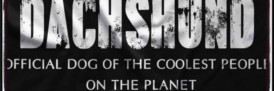 digcurator's profile banner image