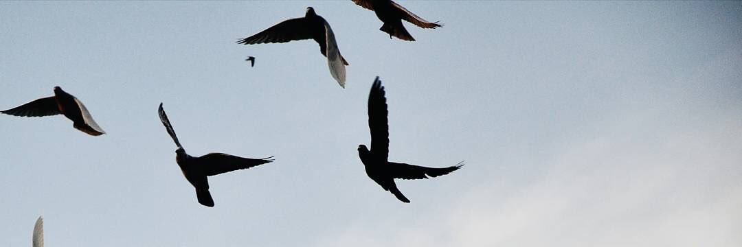 MB335577's profile banner image