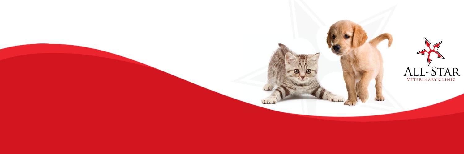 AllStarVet's profile banner image