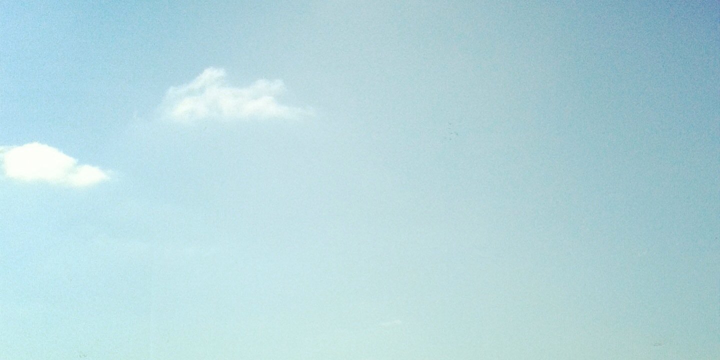 drea_saurus's profile banner image