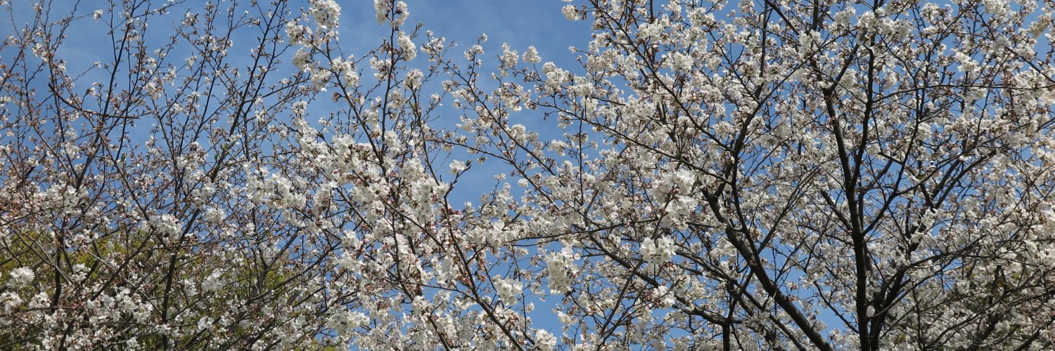 Mido 👩🏻 banner