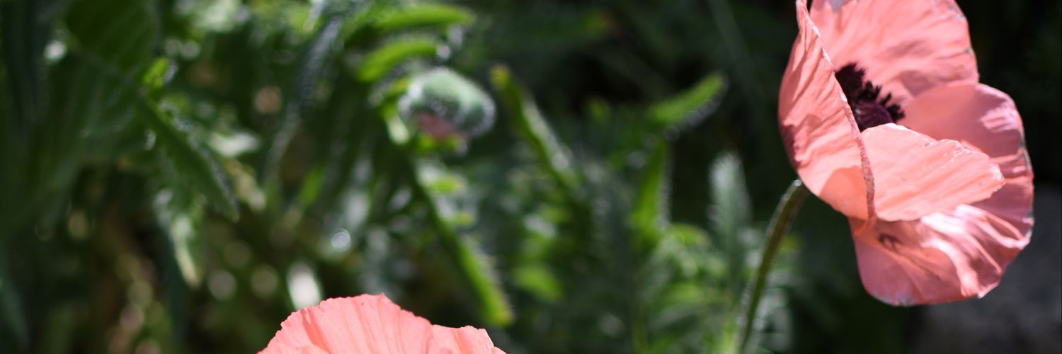 mrdaveyy's profile banner image