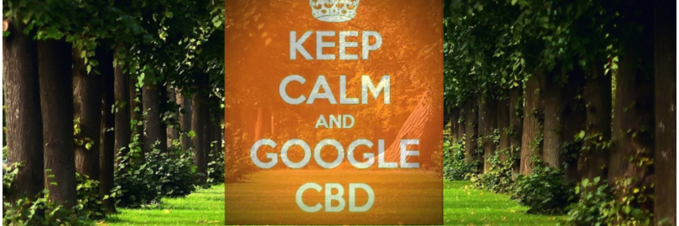 PlusCBD's profile banner image