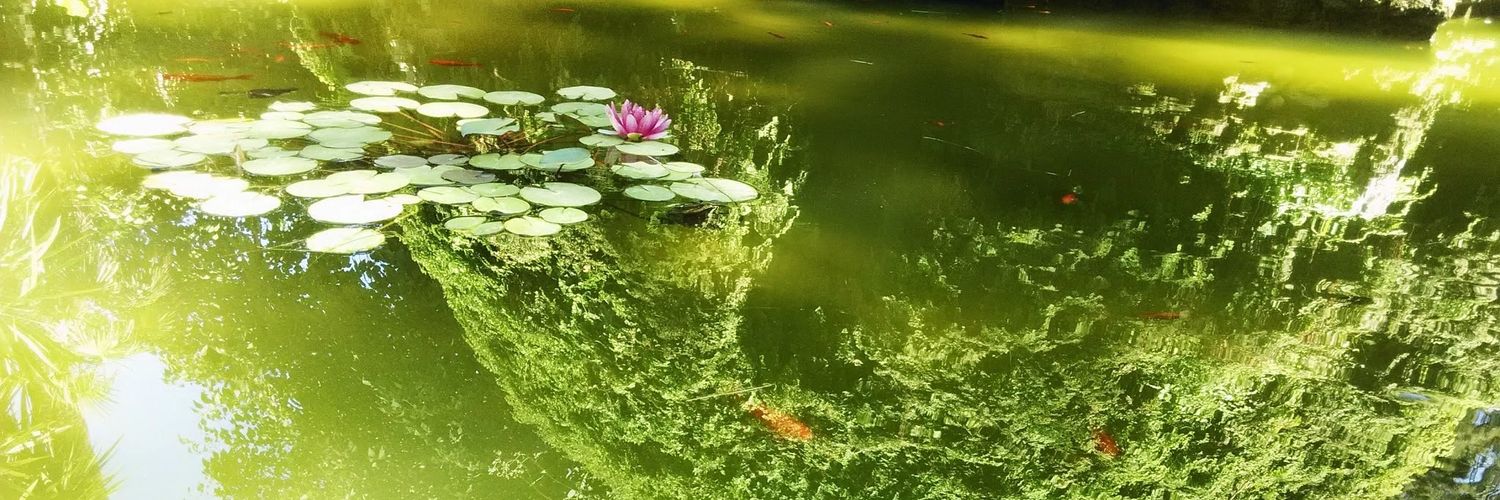 Nomad_Garden's profile banner image