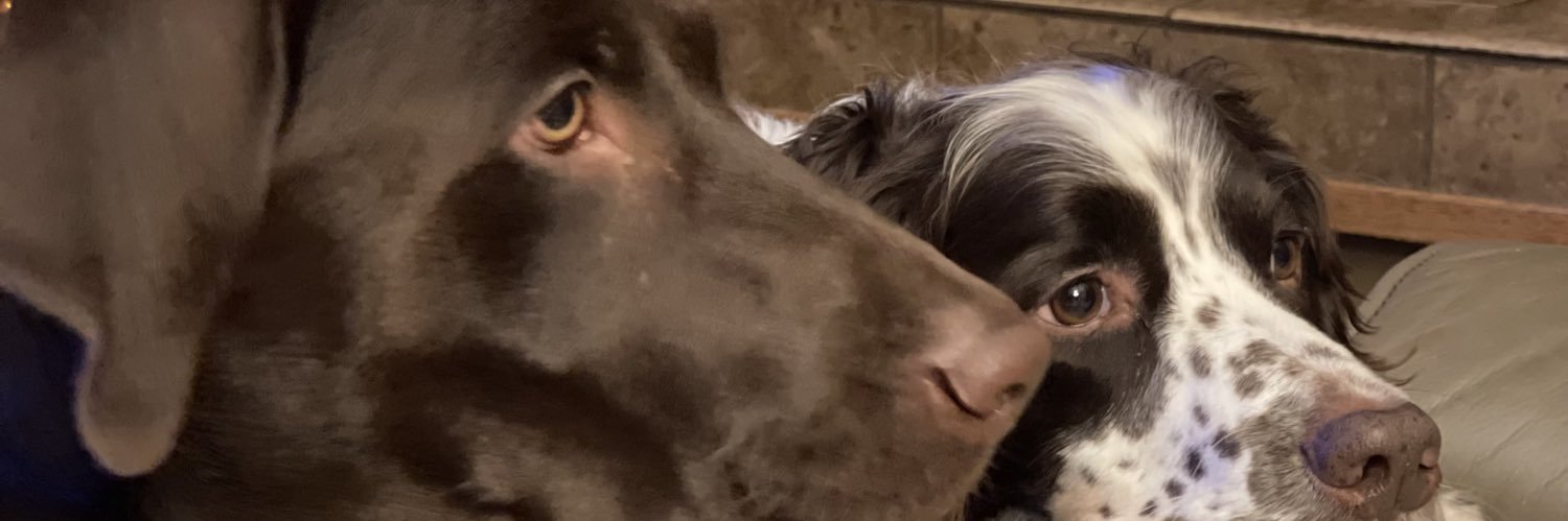 travisb99's profile banner image