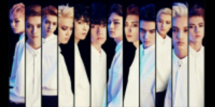 b1ae72bf83aa4bf's profile banner image