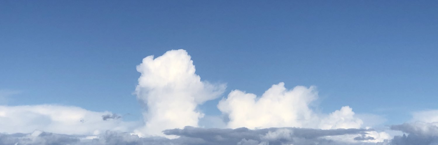 santinobarbera's profile banner image