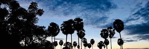 dolphinns_ Profile Banner