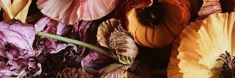 BrittyJene's profile banner image