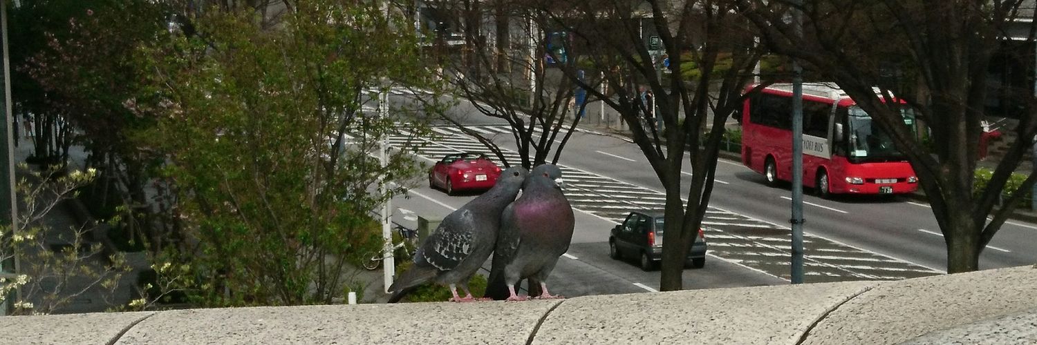 hato978's profile banner image