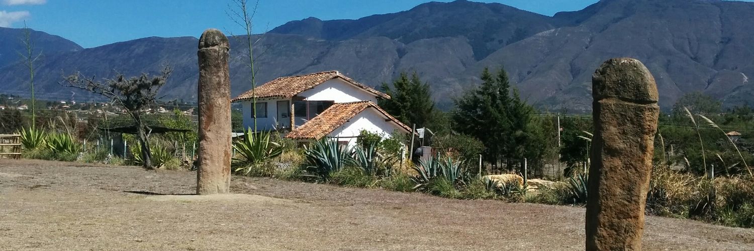 Northern Lights 🦖🐢🐸 banner