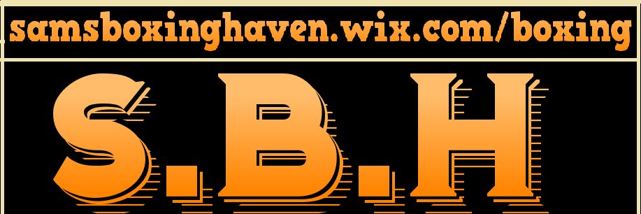 samsboxinghaven banner