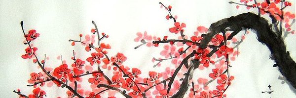 M1ko36 Profile Banner