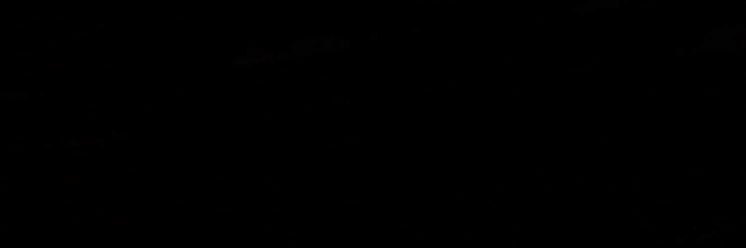 Alexandranatic's profile banner image