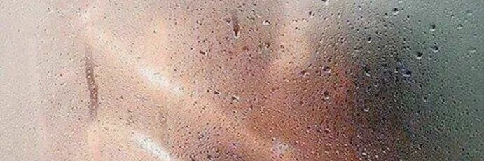 Bibibraba's profile banner image