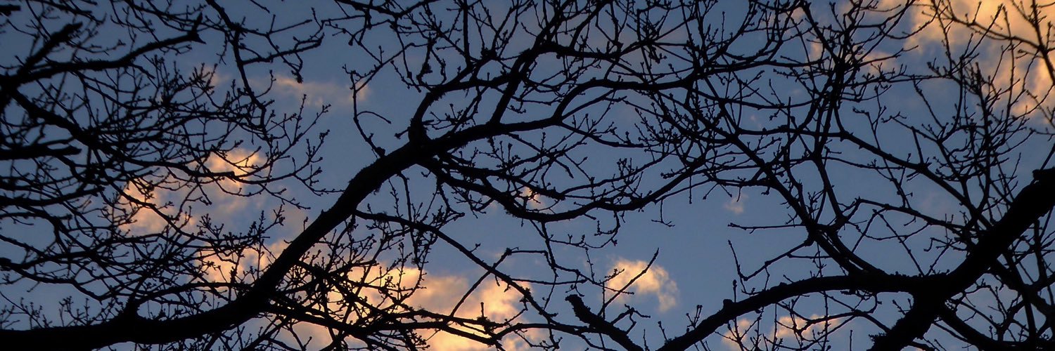 BabavB's profile banner image