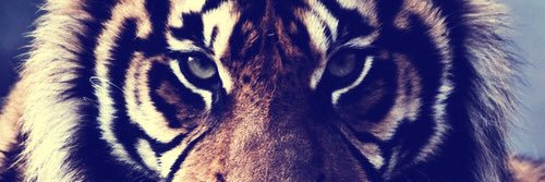 omari_ot's profile banner image