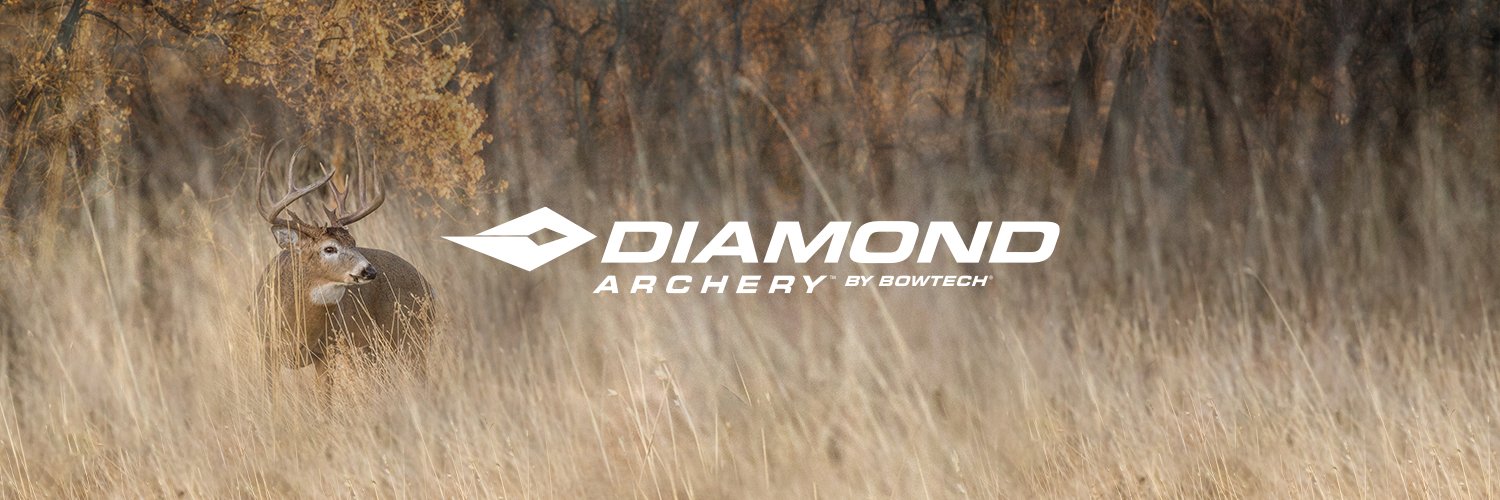 DiamondArchery's profile banner image