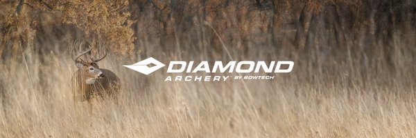 DiamondArchery Profile Banner