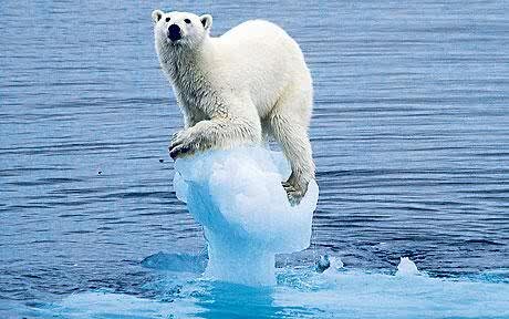 IntactClimate's profile banner image