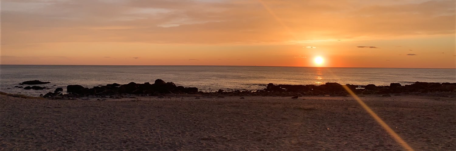 sune2355's profile banner image