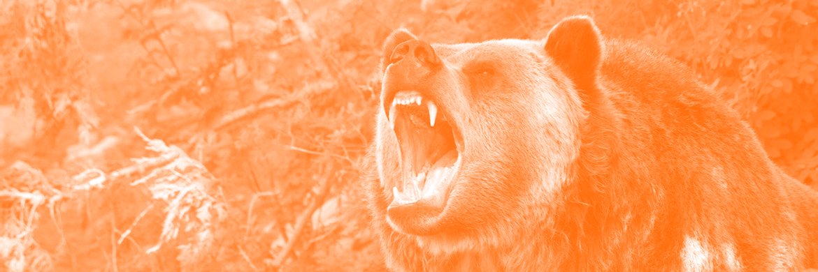OrangeBearTeeth's profile banner image
