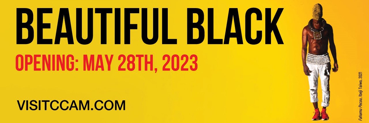 CCAM2014's profile banner image