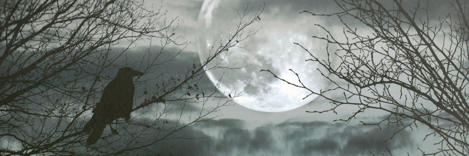 kono1984's profile banner image