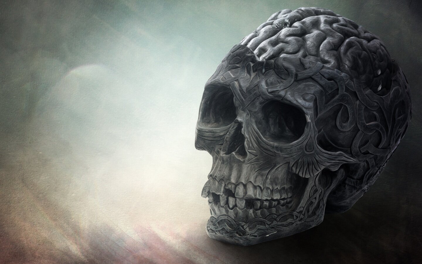 nunesklebin's profile banner image