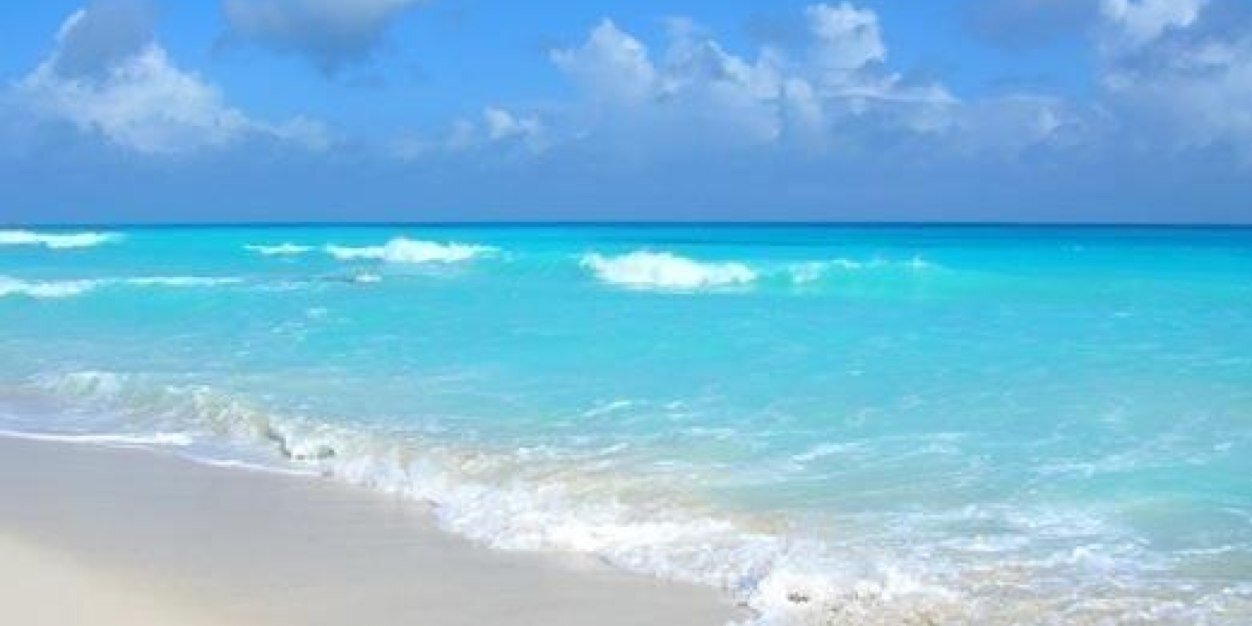 Shipping Magnate banner