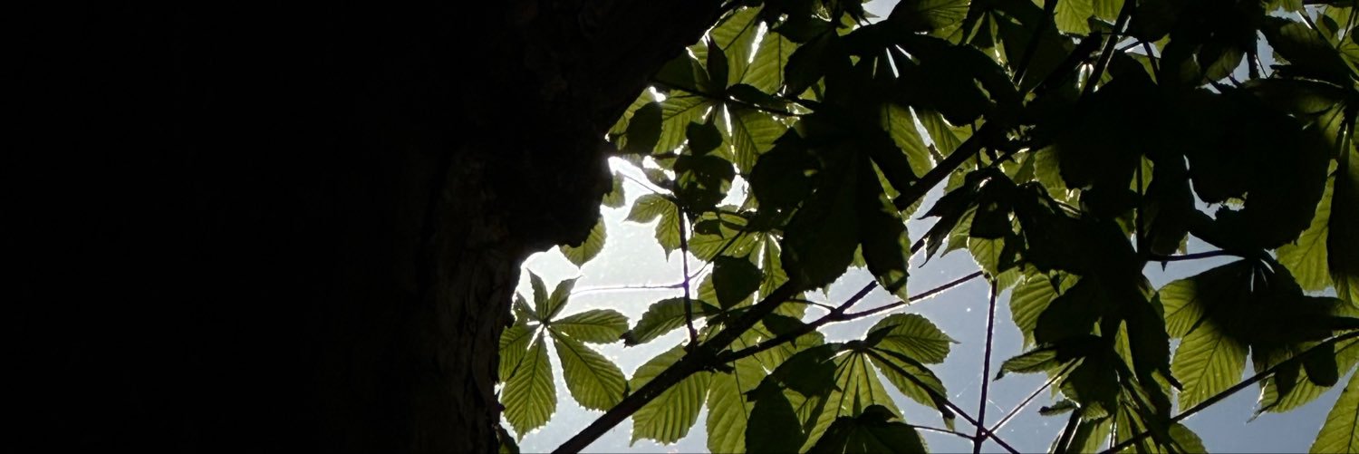 kebapusama's profile banner image