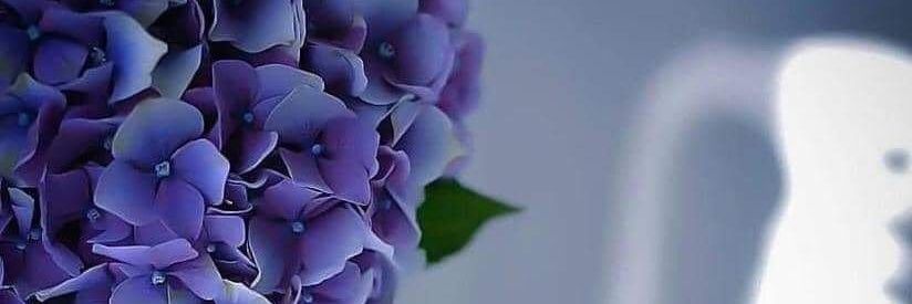 511Msall's profile banner image