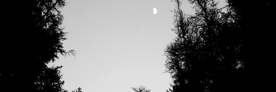 ailsa_writes's profile banner image