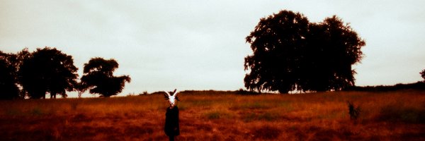 ruthgoller Profile Banner