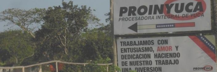 Manuel Padrón Agribusiness Consultant banner