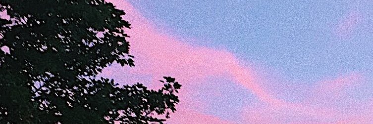 Miarose_fern's profile banner image